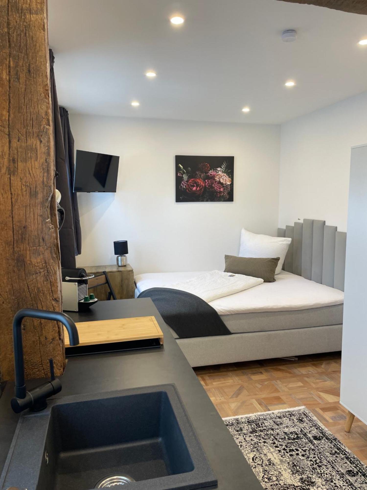 Apartments Im Chateau D'Esprit Höhr-Grenzhausen Eksteriør bilde