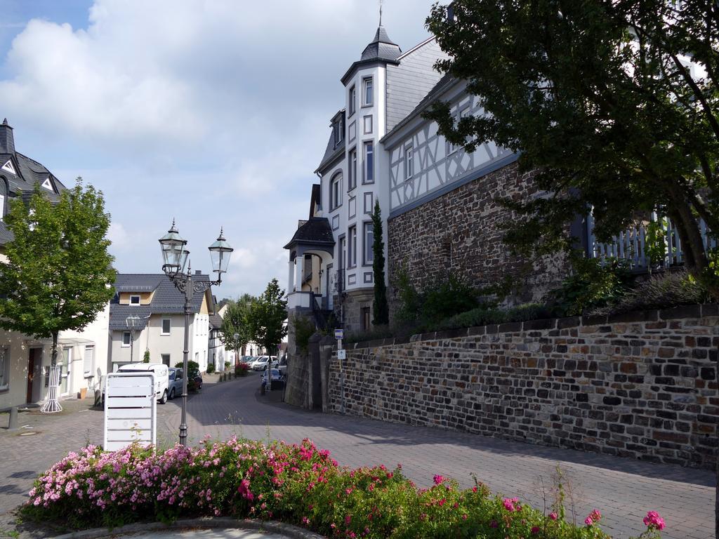 Apartments Im Chateau D'Esprit Höhr-Grenzhausen Eksteriør bilde